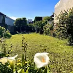 Kyprys - 1930 - Bed & Breakfast 3*