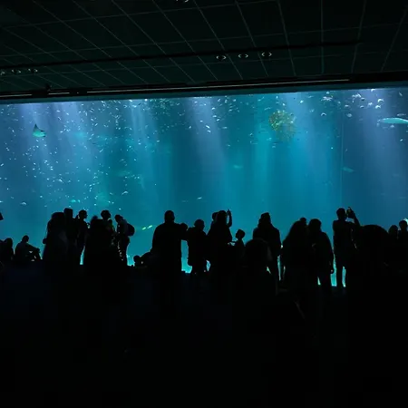 Kyprys - 1930 - 住宿加早餐酒店 3*